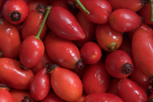 Discover Our Rosehip Seed Oil