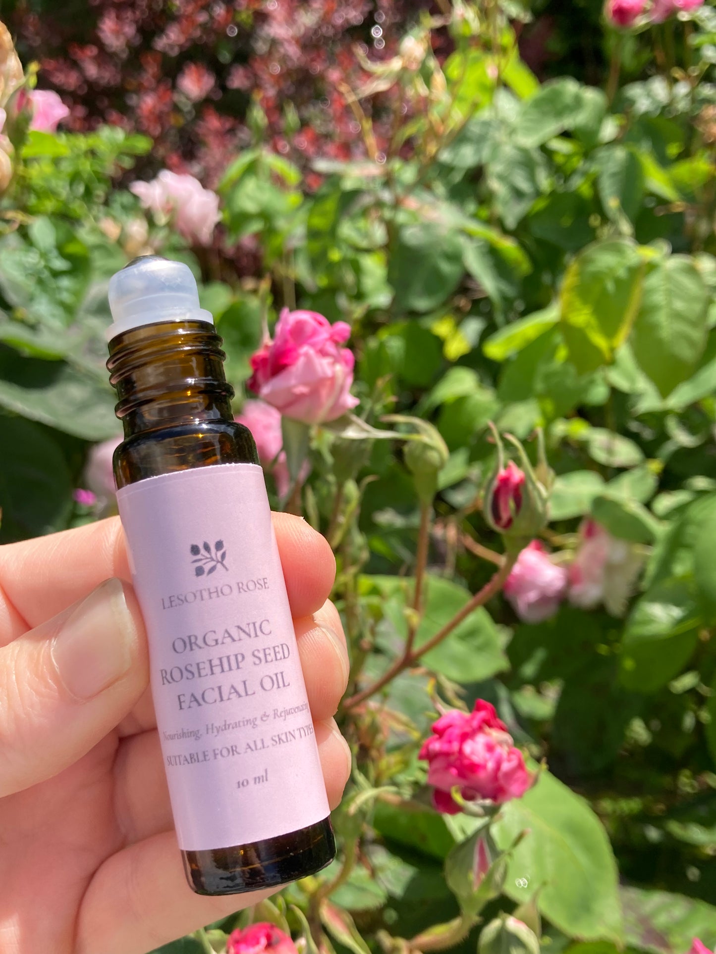 10ml - Roll On Rosehip Seed Facial Oil
