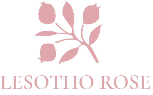 Lesotho Rose