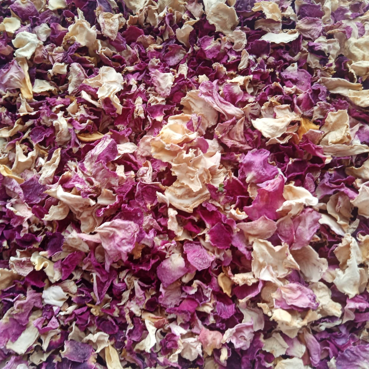 Dusky Dried Rose Confetti