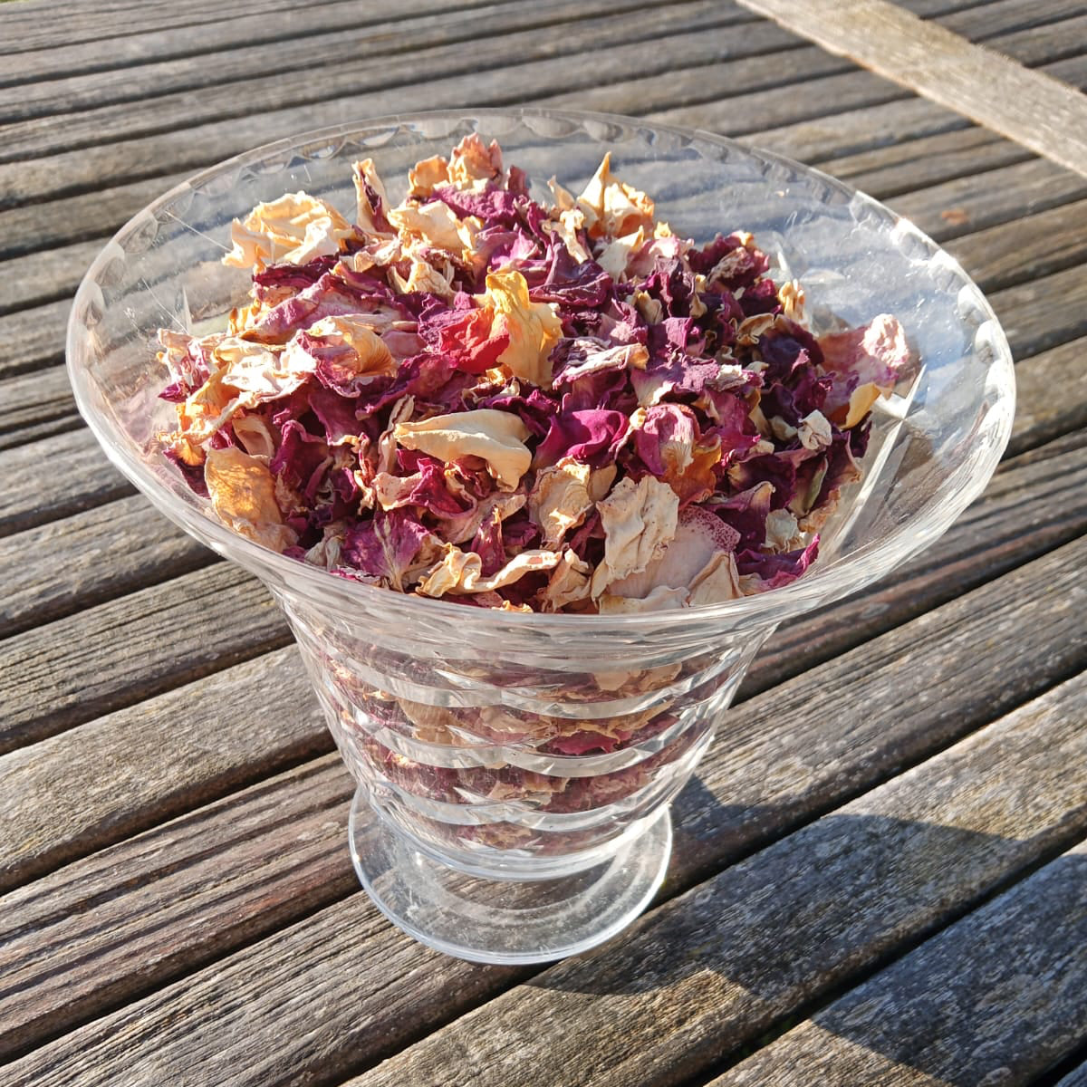 Dusky Dried Rose Petals in Vase
